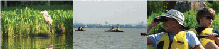 kayak.gif